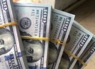 ضبط قضايا اتجار في العملات بقيمة 9 ملايين جنيه 9