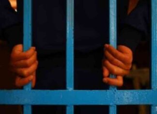 تحقيق تشكيل عصابي بتهمة السرقة في مدينة نصر – اليوم السابع