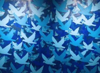 تاريخ ومعلومات عن فوج جبل العرب