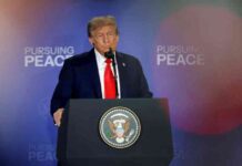 ترامب يفكر في تعميق مشاركته في محادثات الحرب في أوكرانيا – أو ترك الأمور لبوتين وزيلينسكي