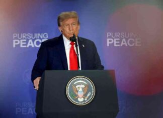 ترامب يفكر في تعميق مشاركته في محادثات الحرب في أوكرانيا – أو ترك الأمور لبوتين وزيلينسكي