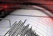 هل يشكل الزلزال السادس الأقوى في التاريخ تهديدًا لمصر؟