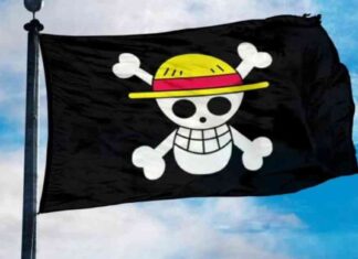 لماذا يستبدل الإندونيسيون علمهم الوطني بعلم قراصنة ون بيس؟