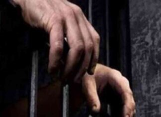 تعرف على تفاصيل التحقيقات في قضية التعدي بالسلاح الأبيض في كرداسة