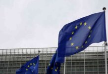 رسوم ترامب تثير الانقسام في برلين: خضر ألمانيا يهاجمون ميرز