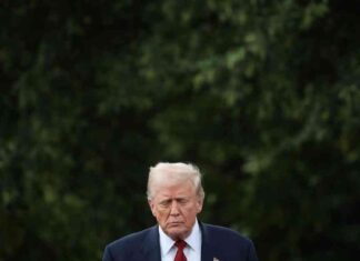 ترامب على وشك تعيين موظفين رئيسيين. الإيمان في الاقتصاد على المحك – مصر المستقلة