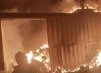 إخماد حريق بدون إصابات في مصنع بالمرج – أخبار اليوم السابع