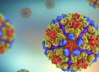 أعراض وطرق الوقاية من فيروس شيكونغونيا