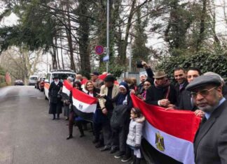 دعم المصريين المغتربين لجهود الرئيس السيسي نحو الاستقرار والتنمية