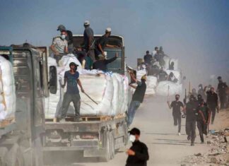 محاولات عصابات مسلحة لحماية المساعدات الواردة إلى غزة – مصر المستقلة