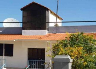 الاختلافات بين الرجال والنساء