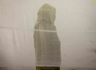 تيغراي: اعتداءات جنسية واسعة النطاق في الحرب وبعدها