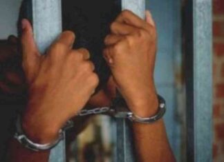 اعترافات نصاب الزيتون: دورات تدريبية للاستيلاء على أموال الضحايا