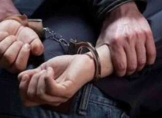 كيفية تجنب الوقوع في فخ السيارة معفاة جمركيًا في القاهرة