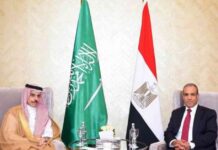 تفاهمات مصرية سعودية حول جامعة الدول العربية