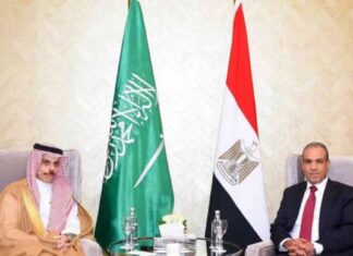 تفاهمات مصرية سعودية حول جامعة الدول العربية