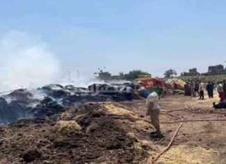 كيفية السيطرة على حريق مزرعة مواشي بالقليوبية – دليل شامل