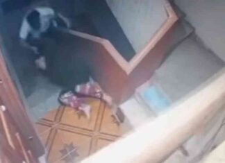 ضرب زوجة شقيقه وسحلها أمام الأطفال: كشف الداخلية عن تفاصيل فيديو الزقرت