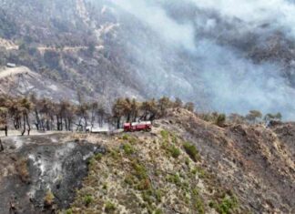 كيفية تقليل خسائر الحرائق في سهل الغاب والساحل السوري