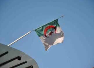 رفض وزراء خارجية مصري وجزائري لقرار الحكومة الاسرائيلية بالتوسع في العدوان على غزة – مصر المستقلة