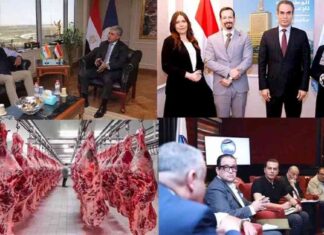 وقف إطلاق النار بعد حدث منتصف الليل: رد فعل حماس والقصابين