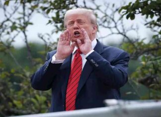 البيت الأبيض ينشئ حسابًا رسميًا على تيك توك وترامب يعلن: أنا صوتكم للفوز