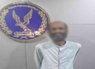 كشف تعذيب قطة بعصا خشبية في الإسكندرية – أخبار اليوم