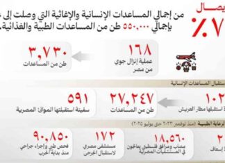تقرير: جهود مصر في دعم قطاع غزة بالأرقام