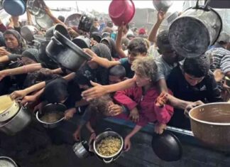 الأمم المتحدة تعلن المجاعة في غزة: تداعيات وحلول