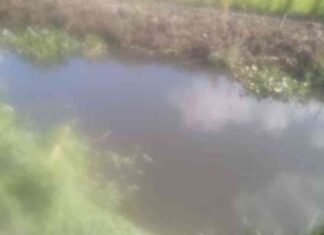 حادث غرق مأساوي لشابين خلال الاستحمام بترعة بمحافظة الشرقية