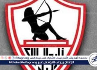 تامر عبدالحميد يطالب بتوضيح الحساب المشترك في مجلس الزمالك