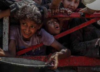 إعلان رسمي: المجاعة تم إعلانها في قطاع غزة – مصر المستقلة