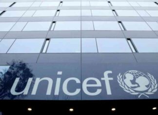 مصر واليونيسف يناقشان أولويات التنمية المشتركة – مصر المستقلة