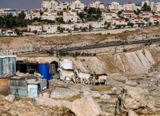 تلة حيث قد تموت فكرة دولة فلسطينية – مصر المستقلة