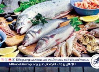 أسعار السمك البلطي والبوري في قنا اليوم 1-9-2025 1-9-2025