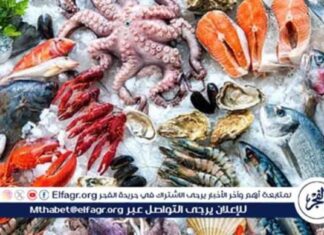 أسعار المأكولات البحرية في الدقهلية يوم الاثنين 1-9-2025 1-9-2025