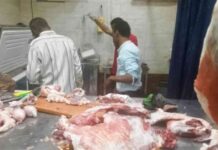 ضبط 104 طن من اللحوم والأسماك الفاسدة في حملة تفتيش بمدينة العبور بالقليوبية 104