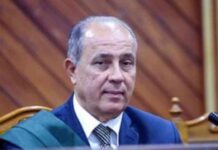 محاكمة 13 متهما بقضية خلية داعش كرداسة الثانية في ساعات 13