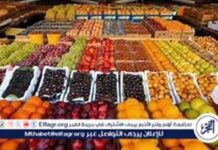 أسعار الفواكه اليوم في الدقهلية – 15 سبتمبر 2025 15-2025