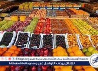 أسعار الفواكه اليوم في الدقهلية – 15 سبتمبر 2025 15-2025