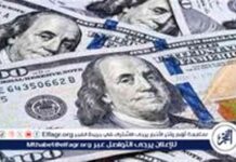 تحديث اسعار الدولار اليوم في سوهاج – 15 سبتمبر 2025 15-2025