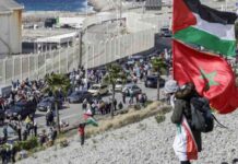 سفن الصمود المغاربي: 23 سفينة تبحر إلى غزة غدًا 23