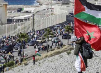 سفن الصمود المغاربي: 23 سفينة تبحر إلى غزة غدًا 23