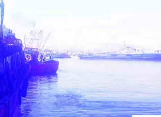 عودة الصيادين للصيد في خليج السويس بعد إغلاق 4 شهور 4