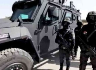 ضبط 426 قضية مخدرات وتفكيك تشكيلين عصابيين في حملات أمنية 426