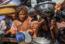 التجويع في غزة: زيادة الوفيات إلى 428 شهيداً 428