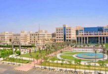 مصروفات كليات جامعة 6 أكتوبر 2025: تفاصيل وأسعار التخصصات 6-2025