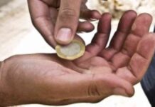 حبس أشهر متسول و60 آخرين في شوارع الأقصر – أخبار مدينة الأقصر 60