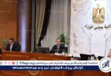 بدء تفعيل الاستثمارات القطرية في مصر بقيمة 7.5 مليار دولار 75