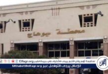 توقيف رئيس القطار والكمساري بعد حادثة محطة المراغة – سوهاج